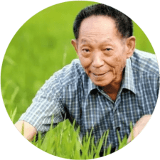 Yuan-Longping-.png Yuan-Longping-.png